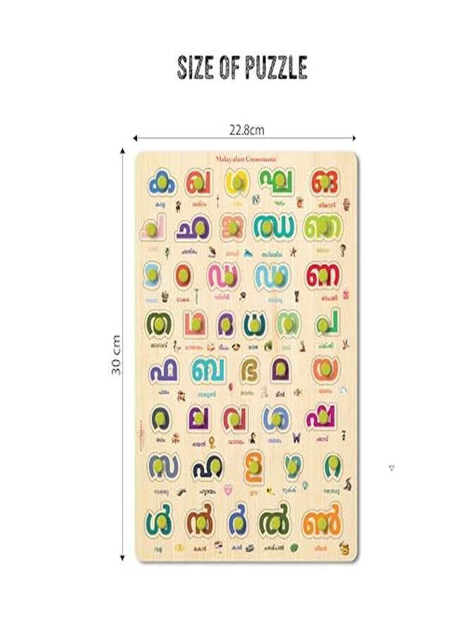 Khilonewale Wooden Knob Puzzle - Malayalam Language Alphabets Learning Board for Kids | 9x12 inch Educational Toy for 3+ Years | Toddler Early Learning Puzzle (Malayalam Consonant) - Image 3